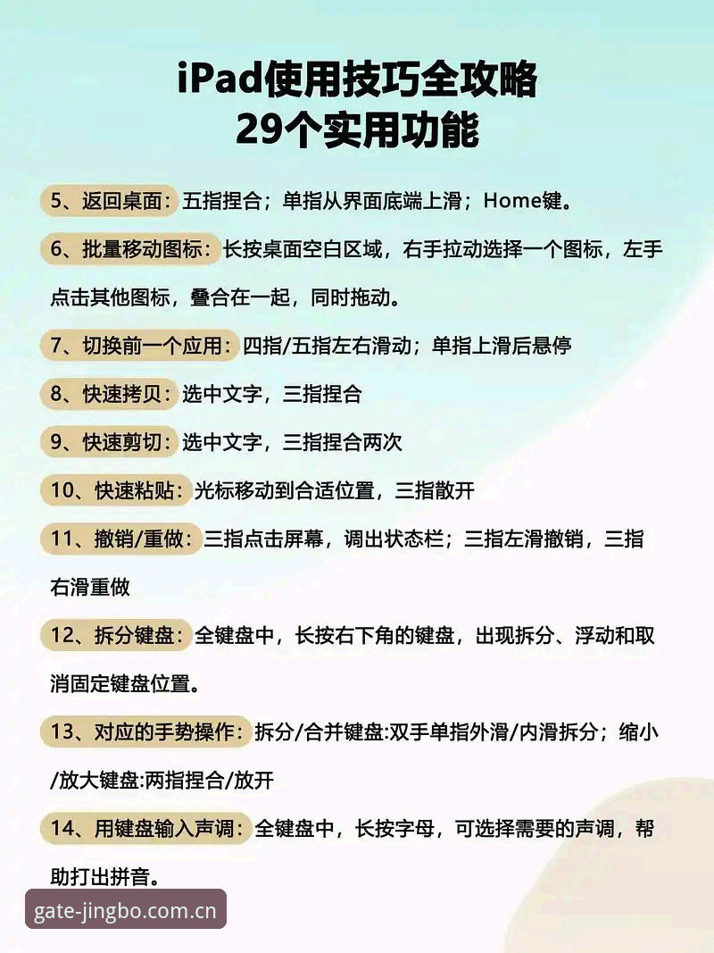 竞博APP使用详解：从下载到实战的全方位指南